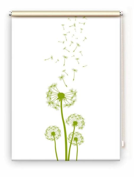 Rollo Dandelions green  , Rollo, Motivrollo, Rollo mit Druck, Fotorollo, bedrucktes Rollo, Fensterrollo,verdunkelndes Rollo, Sonnenschutz Rollo